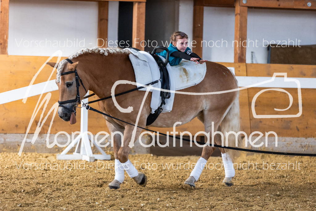 SS-Mini-008 | MomenTaufnahmen Pferdesportfotos