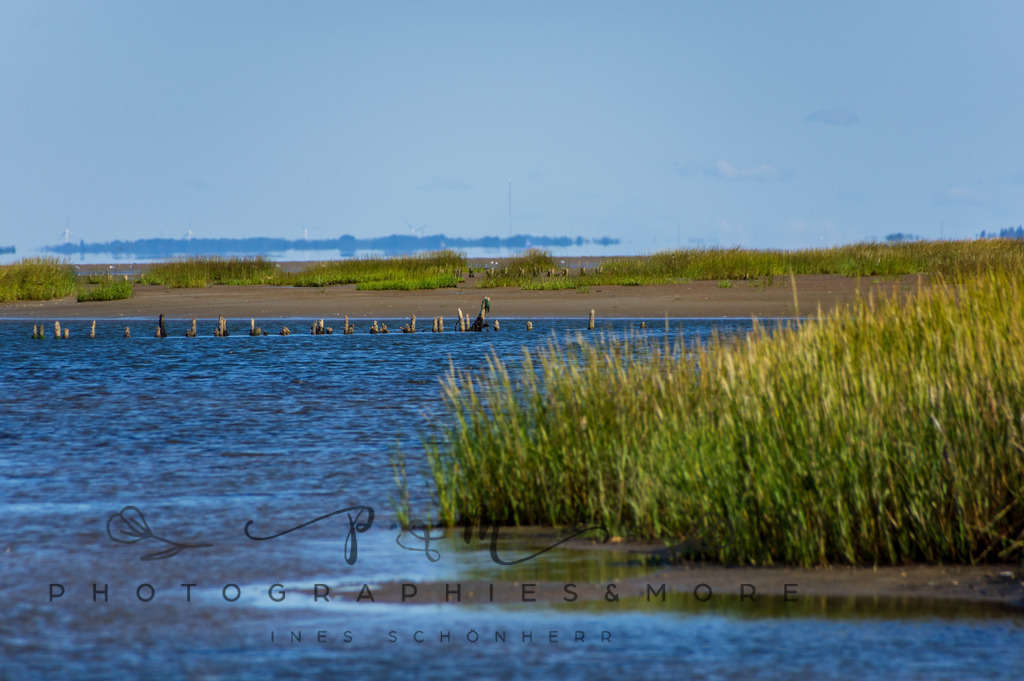 IMGP0374 | Nordseeinsel Mandö - Realisiert mit Pictrs.com