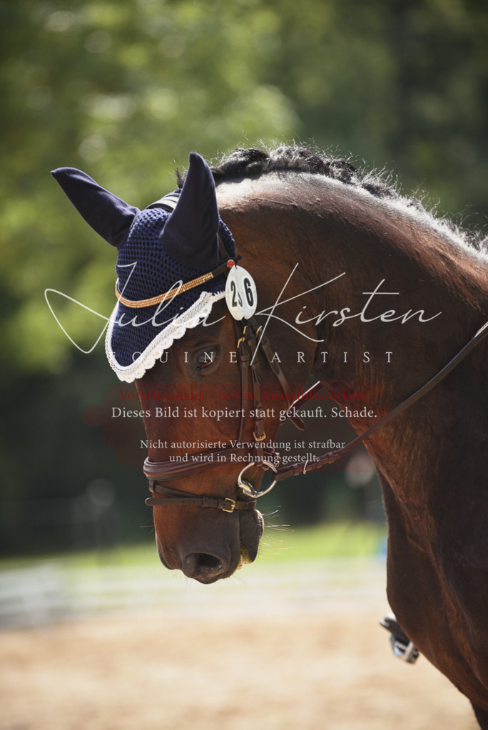 DSC_0986 | Pferde- und Turnierfotografie in Westsachsen. Pferdeportraits, Auftragszeichnungen und intuitive Kunst.