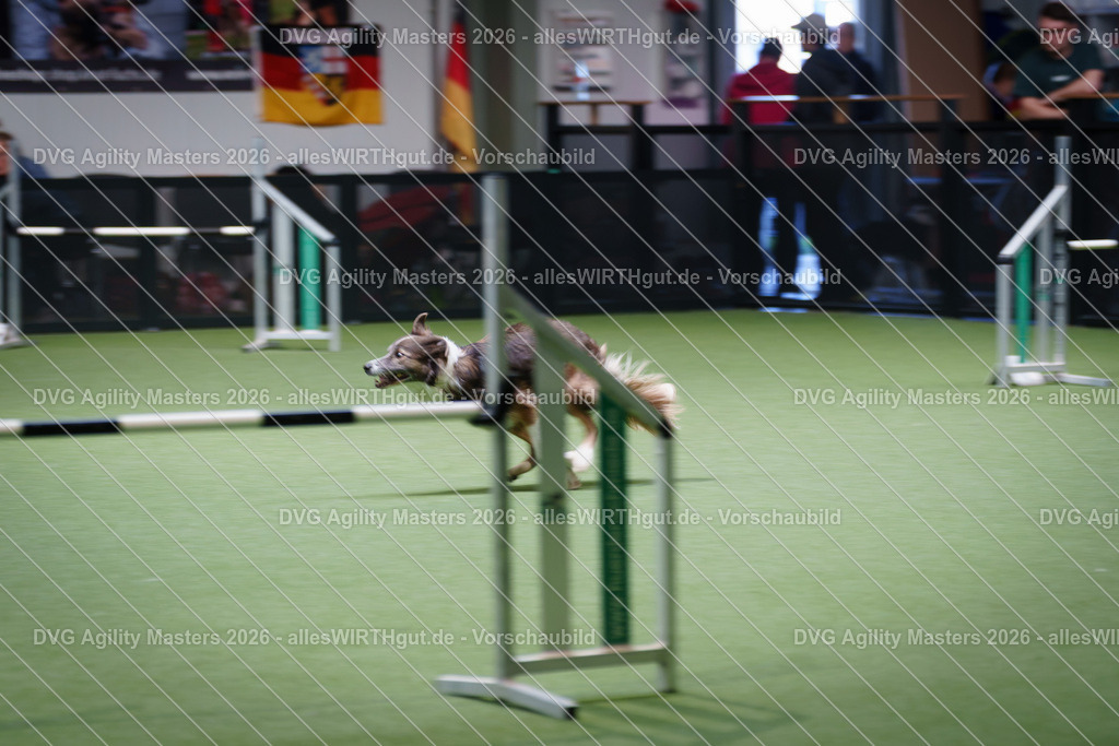 allesWIRTHgut_Tierfotografie-DVG_Agility_Masters_2026-16_17-7R507422 | Professionelle Tierfotografie in Mönchengladbach von Daniel Wirth (allesWIRTHgut). Liebevolle & natürliche Bilder von Hunden & Katzen für unvergessliche Erinnerungen.