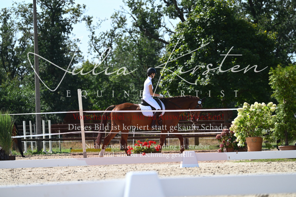 DSC_4987 | Pferde- und Turnierfotografie in Westsachsen. Pferdeportraits, Auftragszeichnungen und intuitive Kunst.