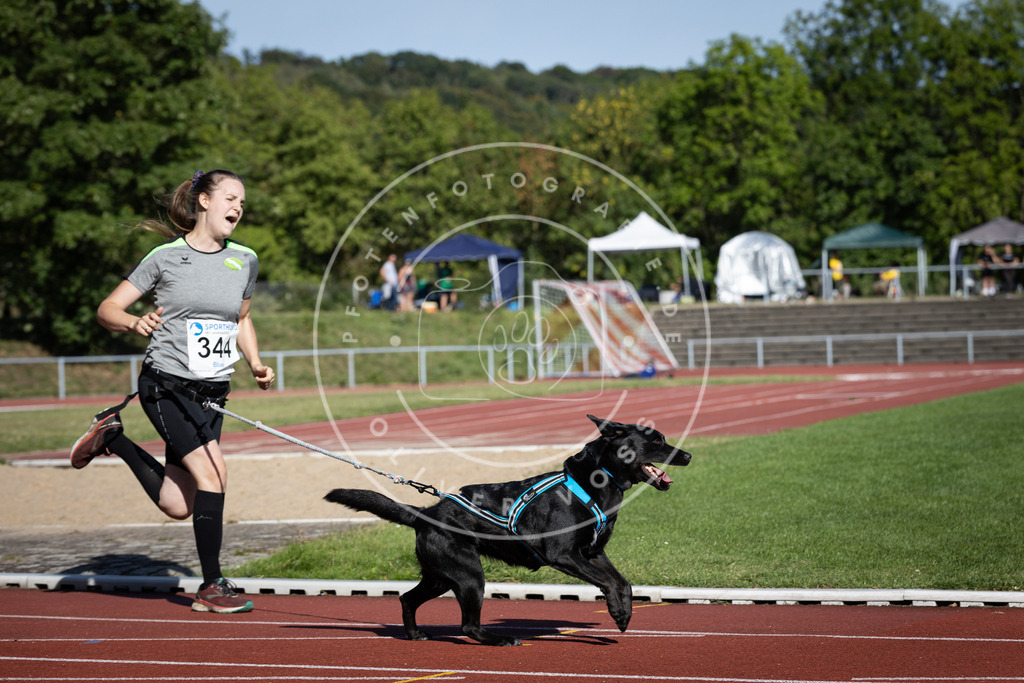 Pfotenfotografie_DV3A8666 | Hundefotografie, Tierfotograf, Pfotenfotografie, Fotoshooting Hund, Hunde Portrait, Hundesport, Hundeportraits, Heideshooting, Hunde, Sportfotograf, Hundefotograf, Turnierhundsport, THS,  - Realisiert mit Pictrs.com