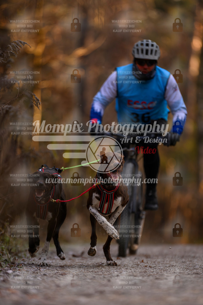 MompixPhotography_DM_AKDM_SO_2025_Scooter-9 | PayLife