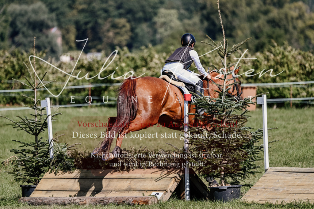 DSC_2671 | Pferde- und Turnierfotografie in Westsachsen. Pferdeportraits, Auftragszeichnungen und intuitive Kunst.