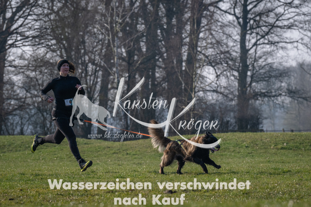 _ZZ91212 | kk-dogfotos