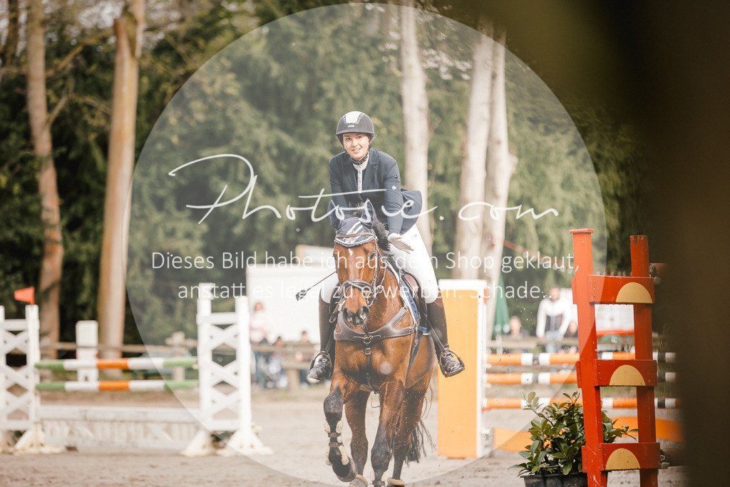 3I6A3308 | Stimmungsvolle Portraits und Reitsportfotografie im Ruhrgebiet und im Münsterland.

Pferdefotografie, Hundefotografie, Tierfotografie, Reportagen, Portraits von Tier und Mensch, Turnierfotografie in Bochum, Recklinghausen, Marl, Haltern am See, Dülmen.. - Realisiert mit Pictrs.com