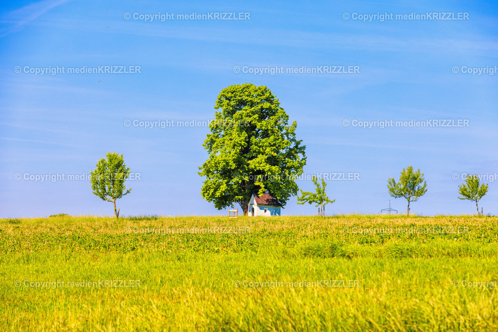 _J3A7833 | medienkrizzler - Realisiert mit Pictrs.com