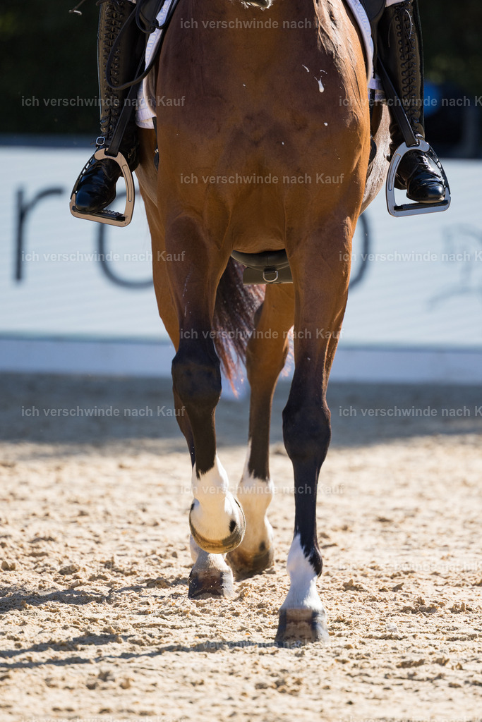 FHC2026_P07_80_17366 | working equitationturnier fotograf videograf stoibphotography marixx film working equitation deutschland reitsport turnierfotografie eventfotografie equestrian events