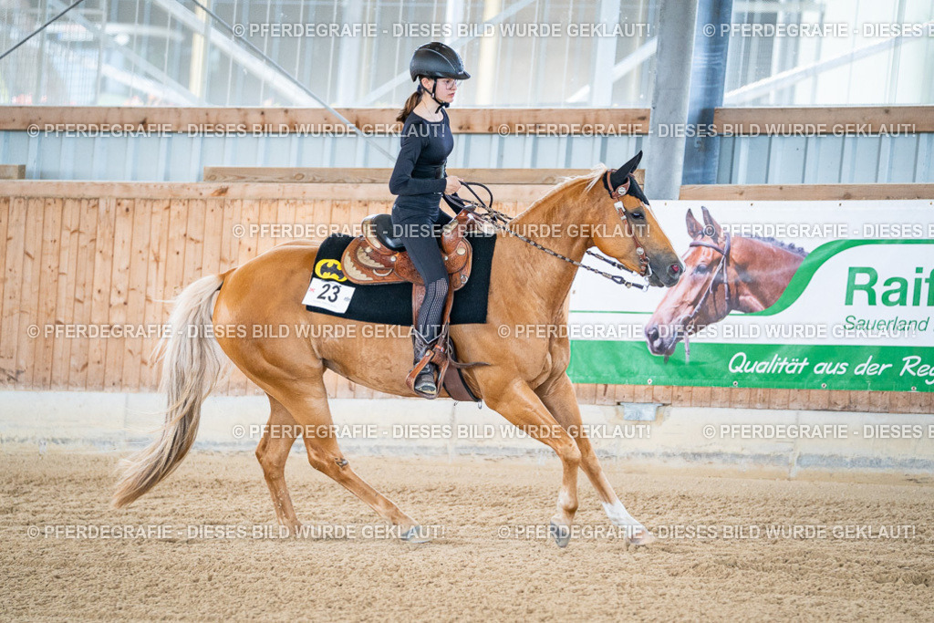 DSC04470 | Pferdegrafie