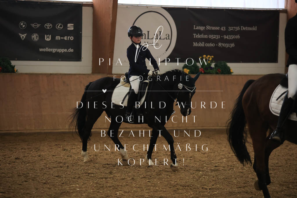 IMGT0997 | pl-fotografie