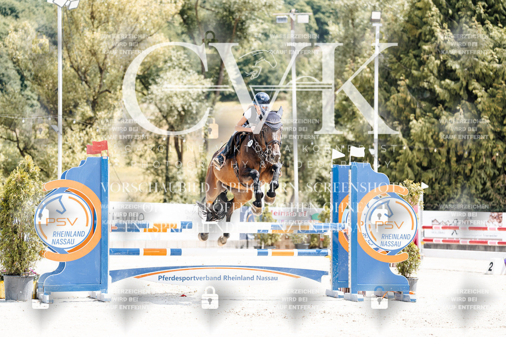 CK907488 | Turnierfotografie Pferdefotografie Trier Rheinland-Pfalz Pferdesport Reitsport Tierfotografie Sportfotografie Pferdevideo Pferdevideografie Equestrianvideography equestrianphotography  - Realisiert mit Pictrs.com