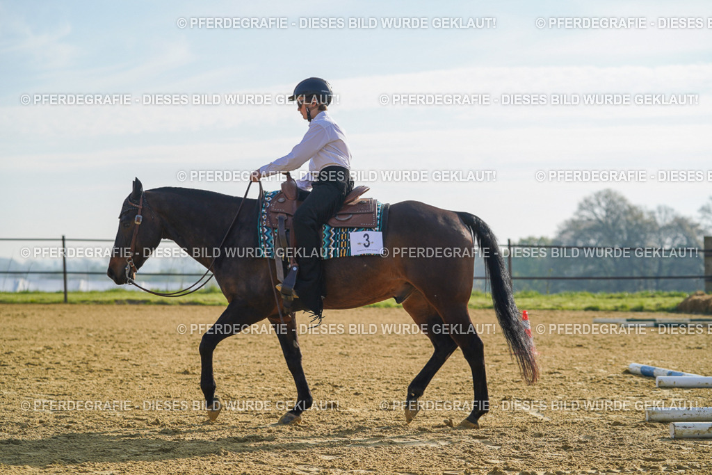 DSC00767 | Pferdegrafie