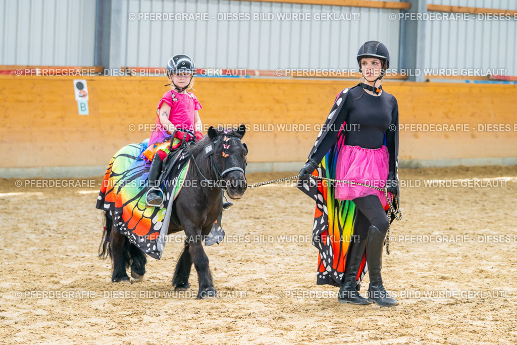 DSC00401 | Pferdegrafie