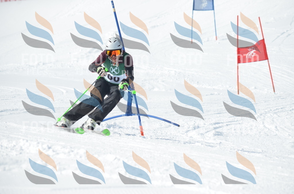 D9007 | holidayphoto