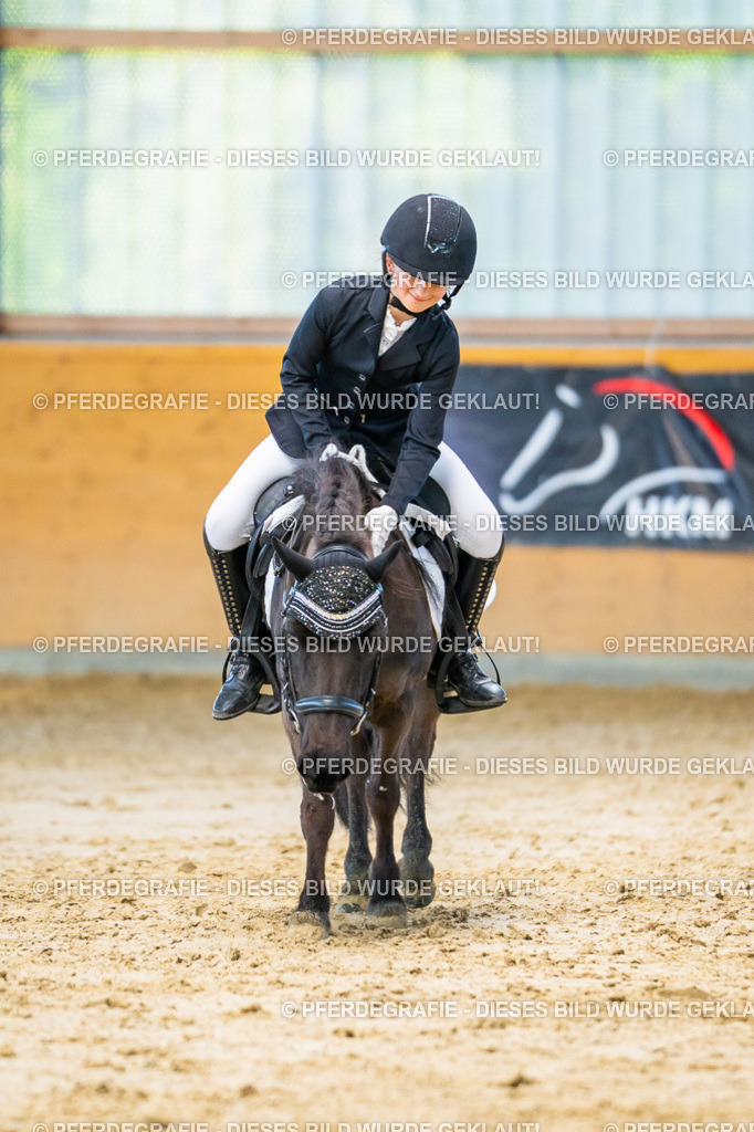 DSC06765 | Pferdegrafie