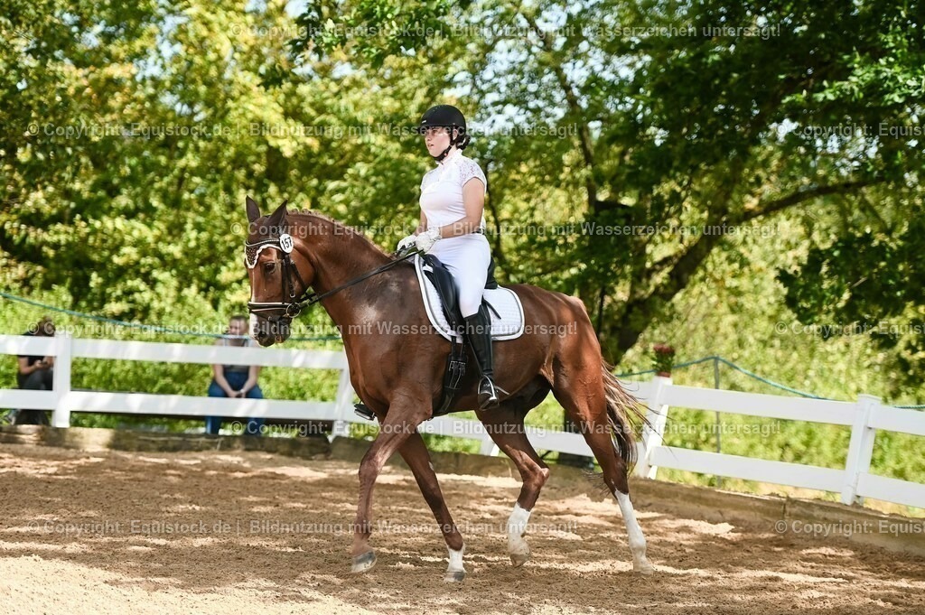 20230715_02_Dressurreiterprüfung Kl.L_0251 | equistock
