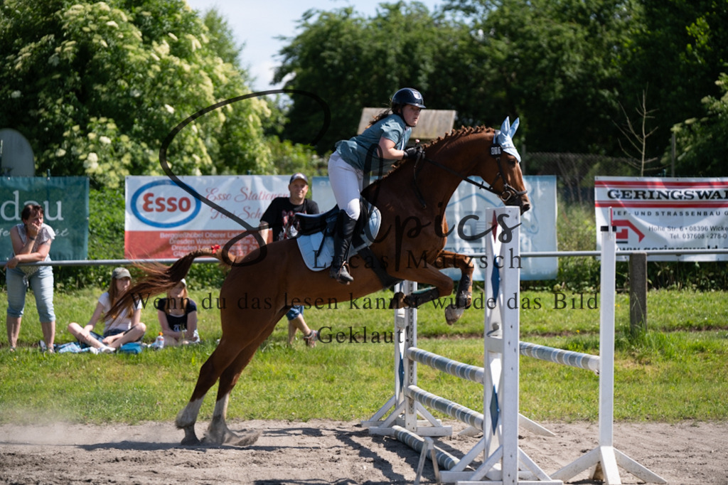 A7V03403 | Pferdefotograf