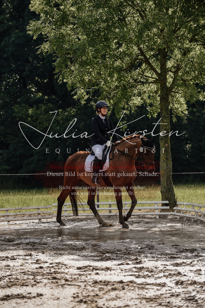 DSC_8874 | Pferde- und Turnierfotografie in Westsachsen. Pferdeportraits, Auftragszeichnungen und intuitive Kunst.