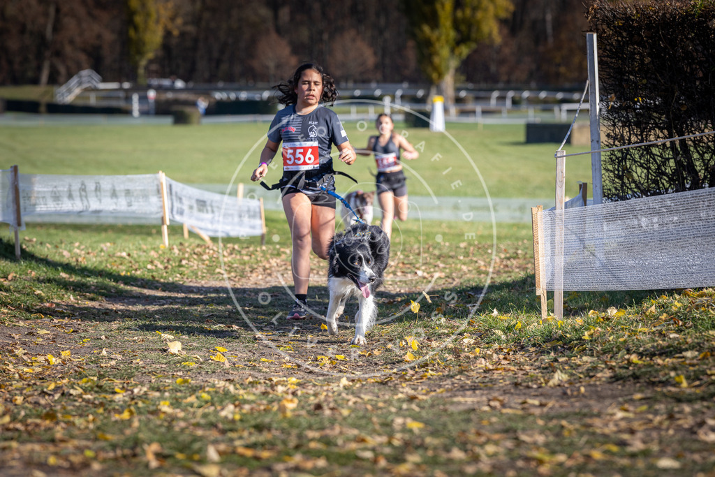 CaniXpix_DV3A8593 | Hundefotografie, Tierfotograf, Pfotenfotografie, Fotoshooting Hund, Hunde Portrait, Hundesport, Hundeportraits, Heideshooting, Hunde, Sportfotograf, Hundefotograf, Turnierhundsport, THS,  - Realisiert mit Pictrs.com