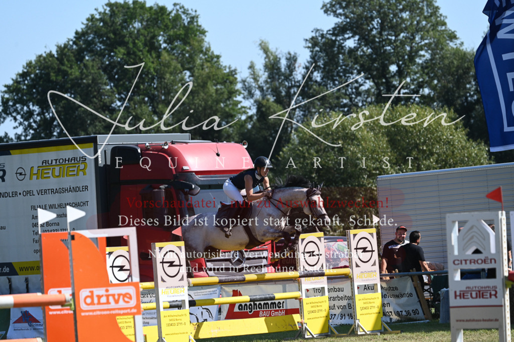 DSC_6365 | Pferde- und Turnierfotografie in Westsachsen. Pferdeportraits, Auftragszeichnungen und intuitive Kunst.