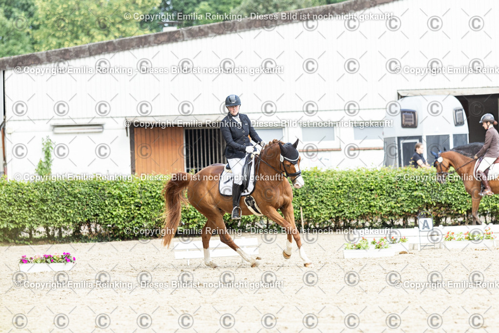 CL5A6666-2 | Emilia Reinking Fotografie - Realisiert mit Pictrs.com