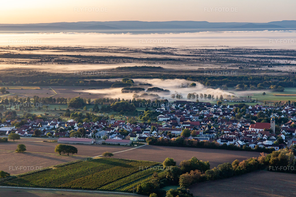 Luftbild: Steinfeld vor dem Bienwald im Morgennebel in Steinfeld im Bundesland Rheinland-Pfalz in Deutschland. Foto: IMG_138797.jpg vom 24.09.2023 durch Werner Riehm/FLY-FOTO.de