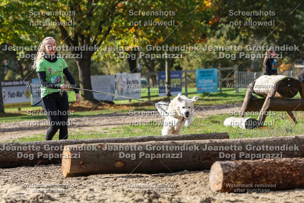 Dog Paparazzi - Strongdog 10-25-5102 | Dog Paparazzi Jeanette Grottendiek Fotografie & Videografie - Realisiert mit Pictrs.com