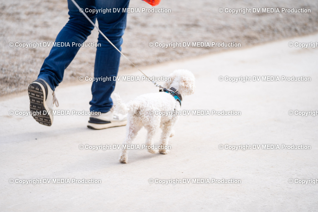 Springen Tag 3-451 | dv-media-shop - Realisiert mit Pictrs.com