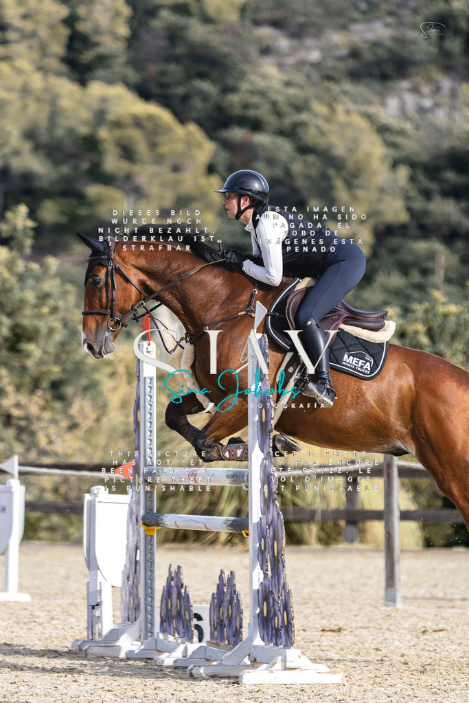 IMG_4294 | s-jay-photography - Realisiert mit Pictrs.com