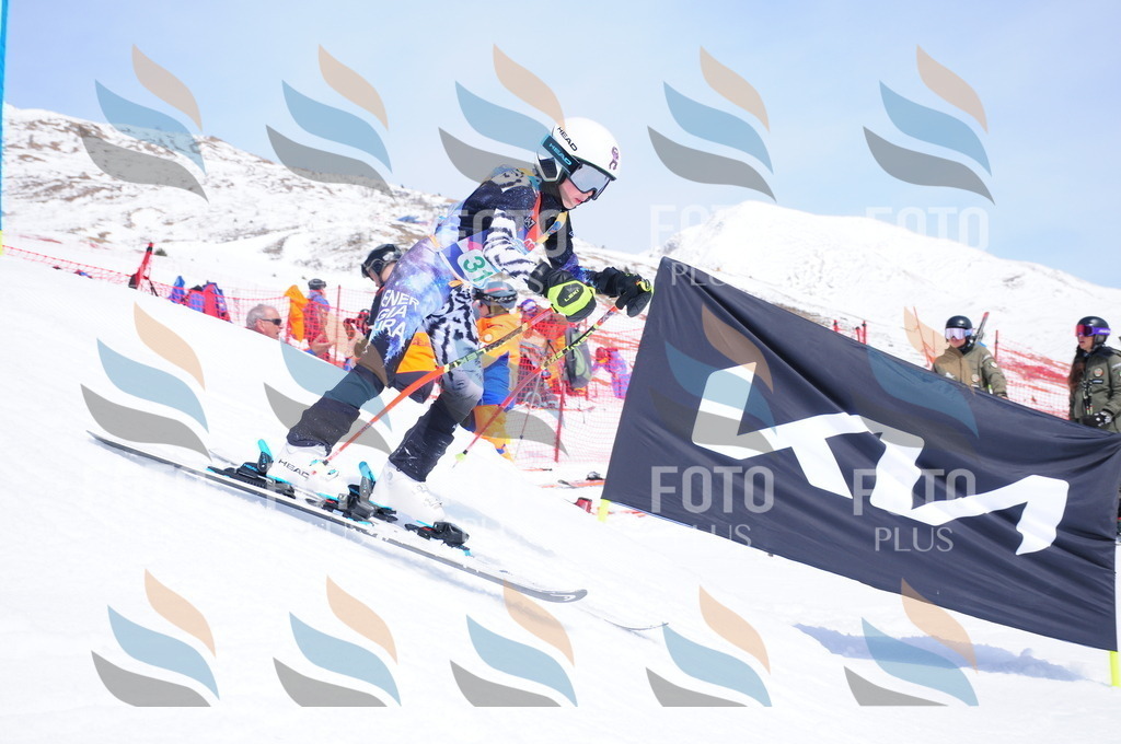 DSC_3061 | holidayphoto