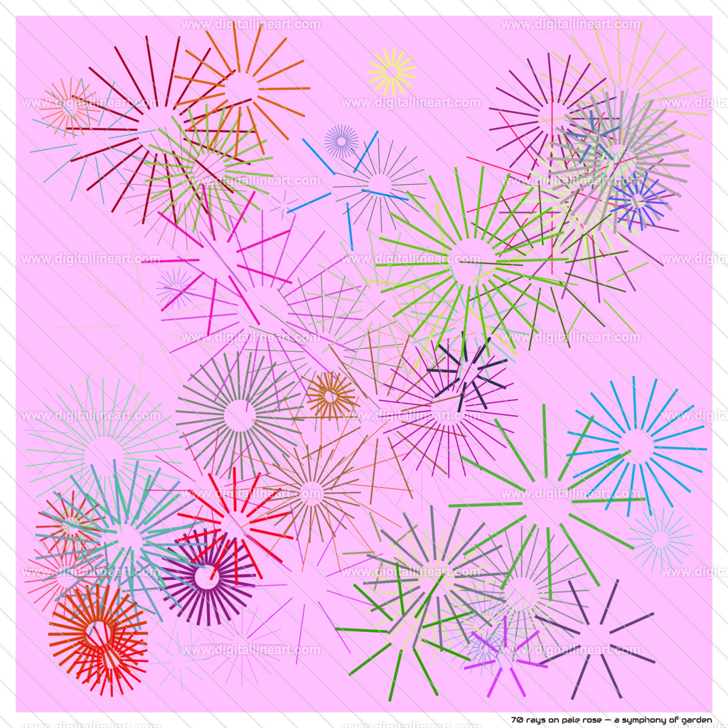 70-rays-pale-rose-a-symphony-of-garden | digitallineart - Realisiert mit Pictrs.com