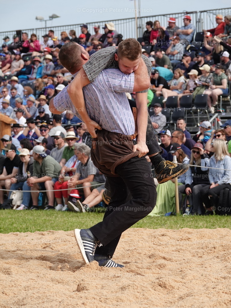 DSC06710 | Schwingen - Realisiert mit Pictrs.com