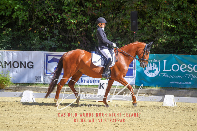 DKP42004 | Turniersportfotografie; Pferdefotografie; Dressurfotografie