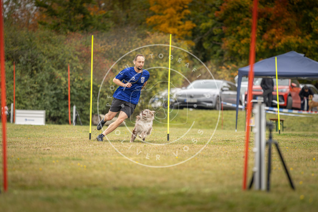 Pfotenfotografie_DV3A5438 | Hundefotografie, Tierfotograf, Pfotenfotografie, Fotoshooting Hund, Hunde Portrait, Hundesport, Hundeportraits, Heideshooting, Hunde, Sportfotograf, Hundefotograf, Turnierhundsport, THS,  - Realisiert mit Pictrs.com