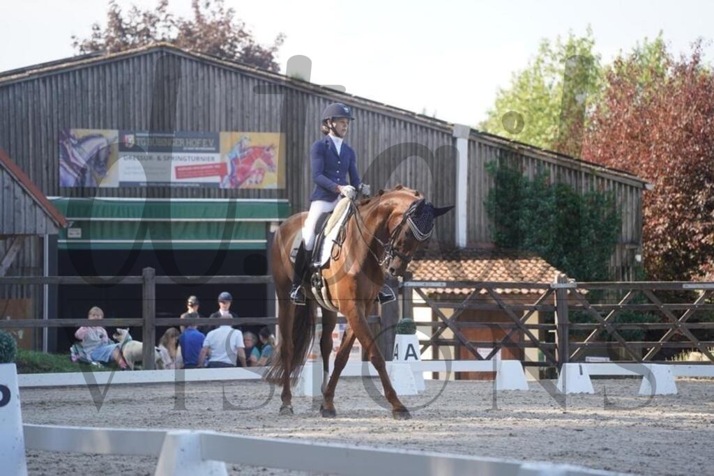 tgbhsonntag (473) | d.tail Visions - Shop - Realisiert mit Pictrs.com