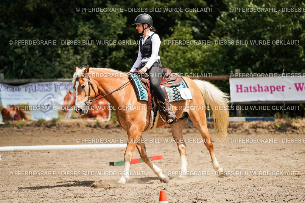 DSC07108 | Pferdegrafie