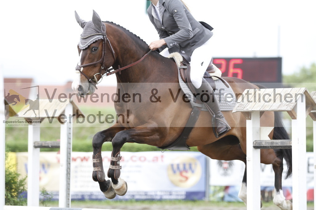 _MG_9814 | equestrian-live-com