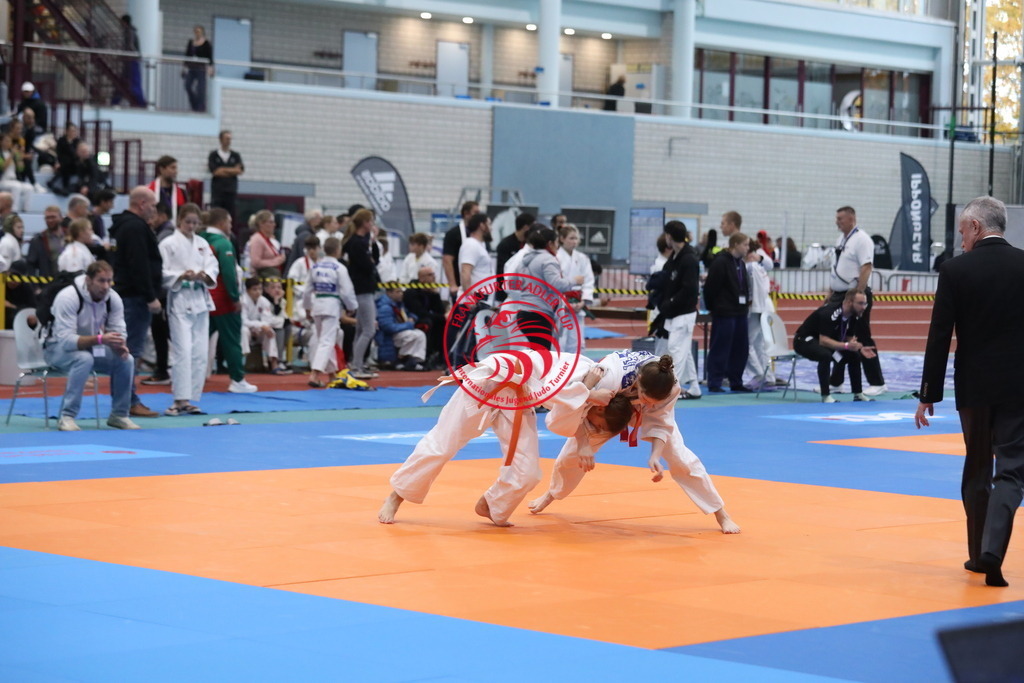 1J7A2294 | Fotos vom Adler Cup - Pictures from Adler Cup

Hier findet Ihr alle Eindrücke und großen Momente der Adler Cup Wochenenden. Here you will find all impressions and great moments of the Adler Cup weekends. - Realisiert mit Pictrs.com