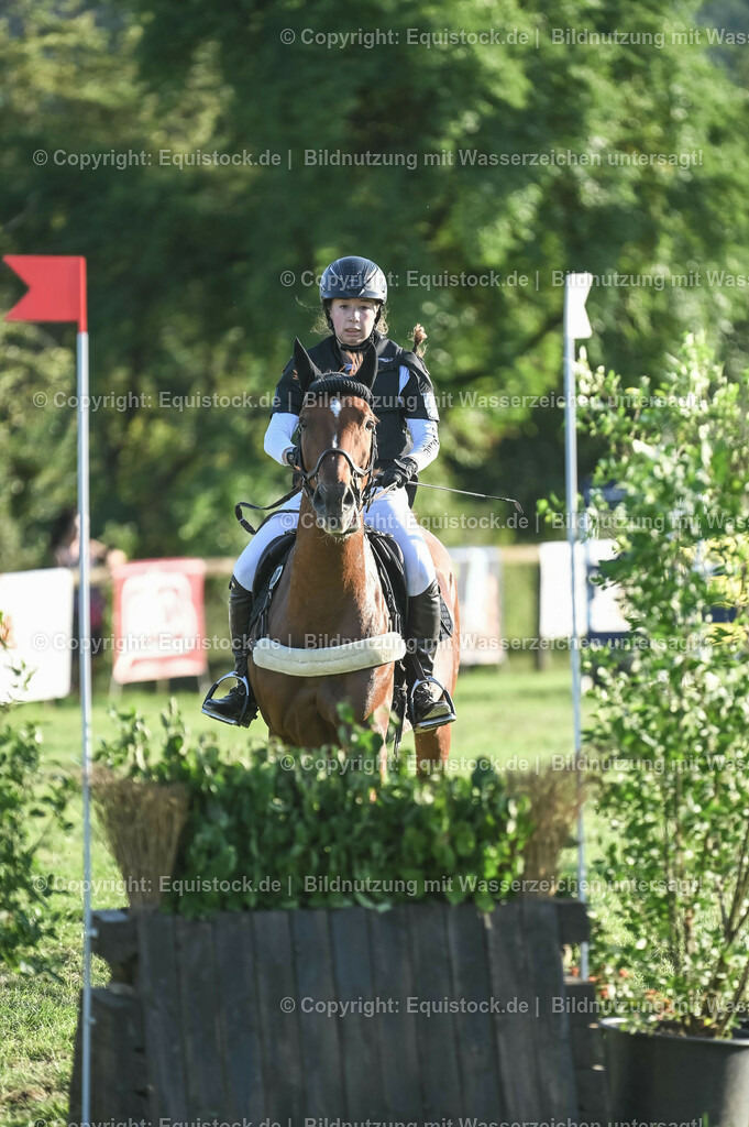 20230909_20_Leonberger-Derby_0068 | Foto: Thomas Hartig