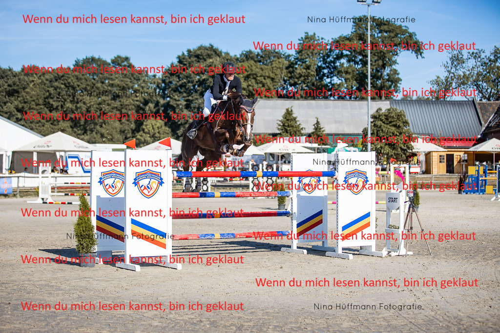 BK1A8574 | Turnierbilder Turnierfotos Nina Hüffmann Turnierfotografie Pferdefotografie Tierzeichnung Haustierzeichnung Pferdezeichnung Hundezeichnung Videograf  - Realisiert mit Pictrs.com