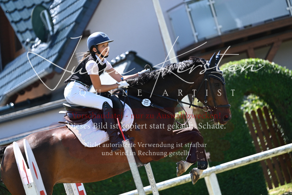 DSC_0538 | Pferde- und Turnierfotografie in Westsachsen. Pferdeportraits, Auftragszeichnungen und intuitive Kunst.
