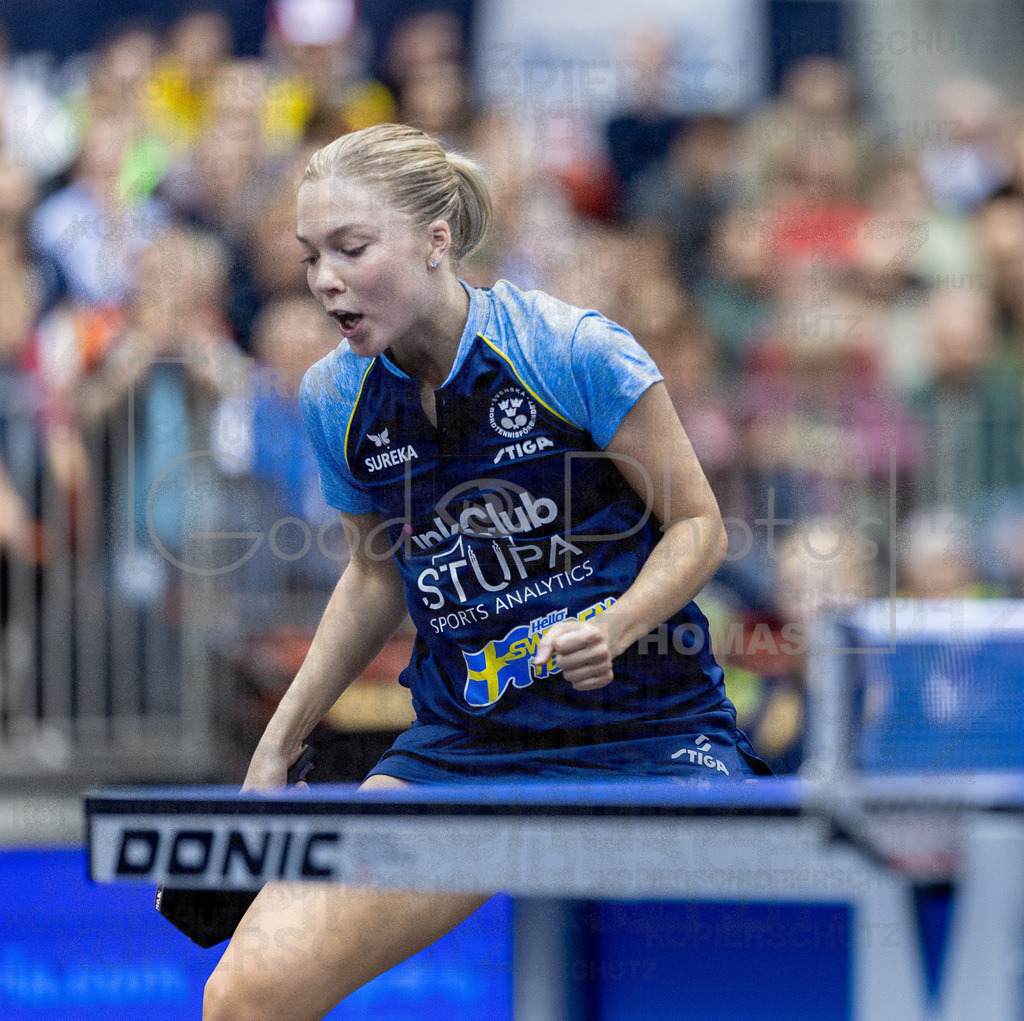 European_Championships_2024-10-19_073 | good-photos - Realized with Pictrs.com