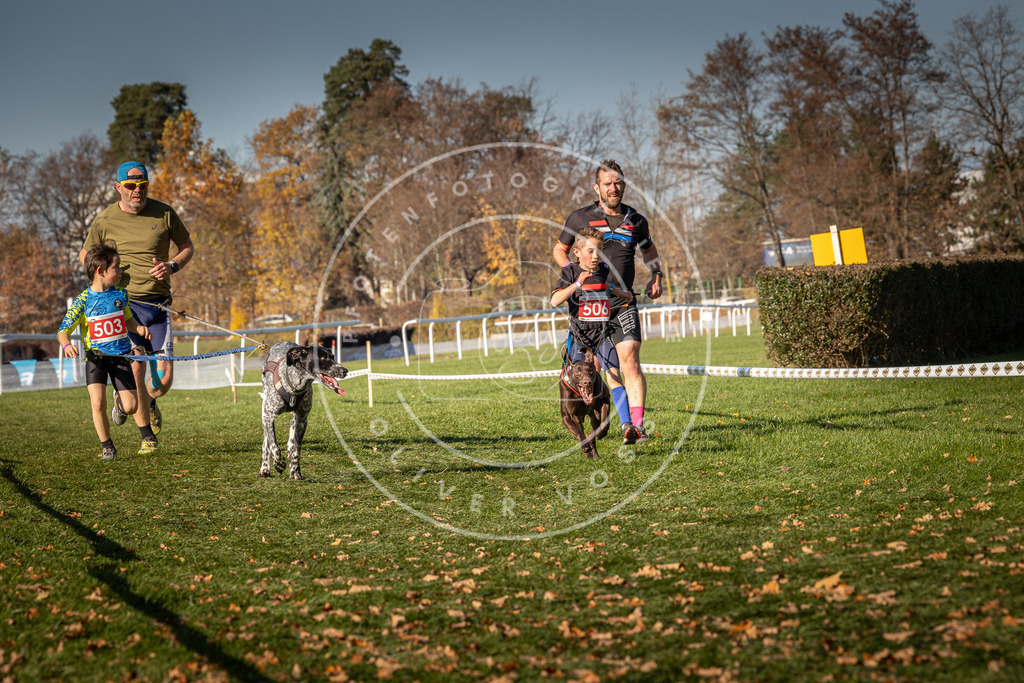CaniXpix_0L8A6709 | Hundefotografie, Tierfotograf, Pfotenfotografie, Fotoshooting Hund, Hunde Portrait, Hundesport, Hundeportraits, Heideshooting, Hunde, Sportfotograf, Hundefotograf, Turnierhundsport, THS,  - Realisiert mit Pictrs.com