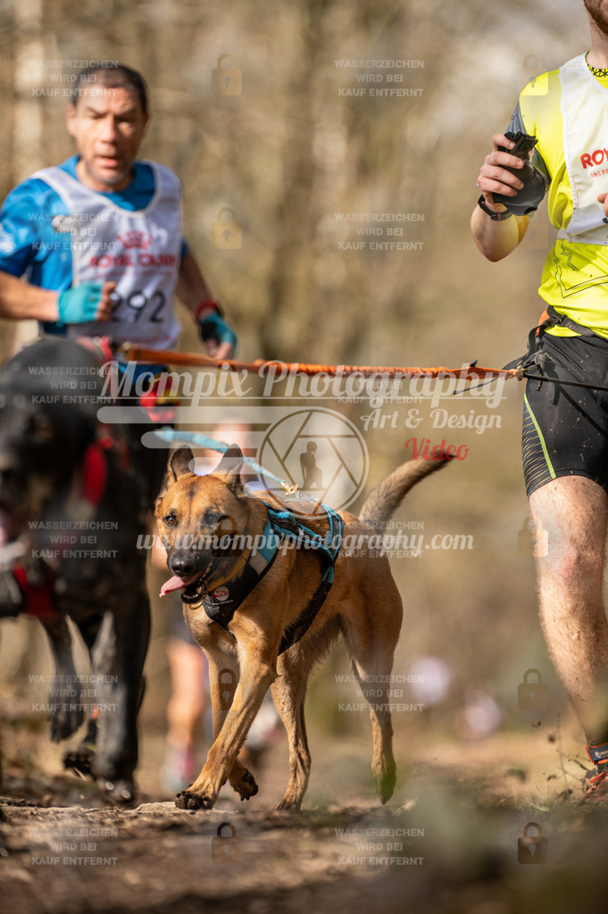 SPA_2023_SAM_CCK-100 | PayLife