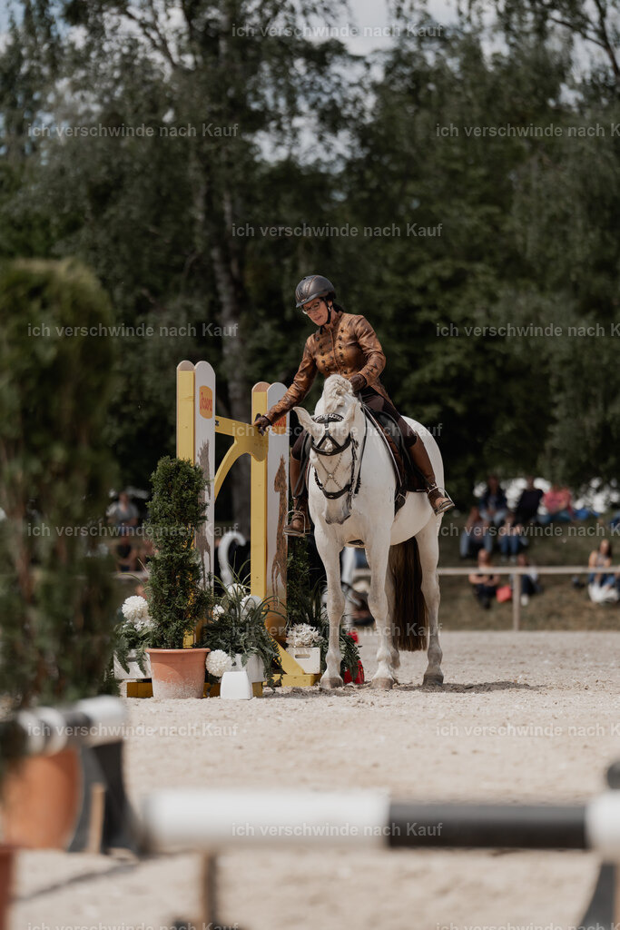 WE_ST_Stoib_347_PI2025_1063 | Pferd International München 2025
