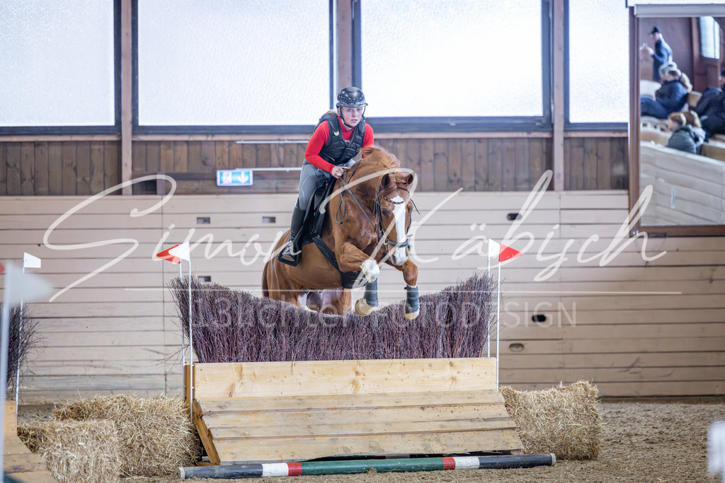 20260221-_3LI9264 | Tierfotografie Pferde, Hunde, Katzen, Haustiere.
Turnierfotografie Reitturniere, Reiten, Springreiten, Dressur in Hanau, dem Main-Kinzig-Kreis und dem Rhein-Main- Gebiet um Frankfurt