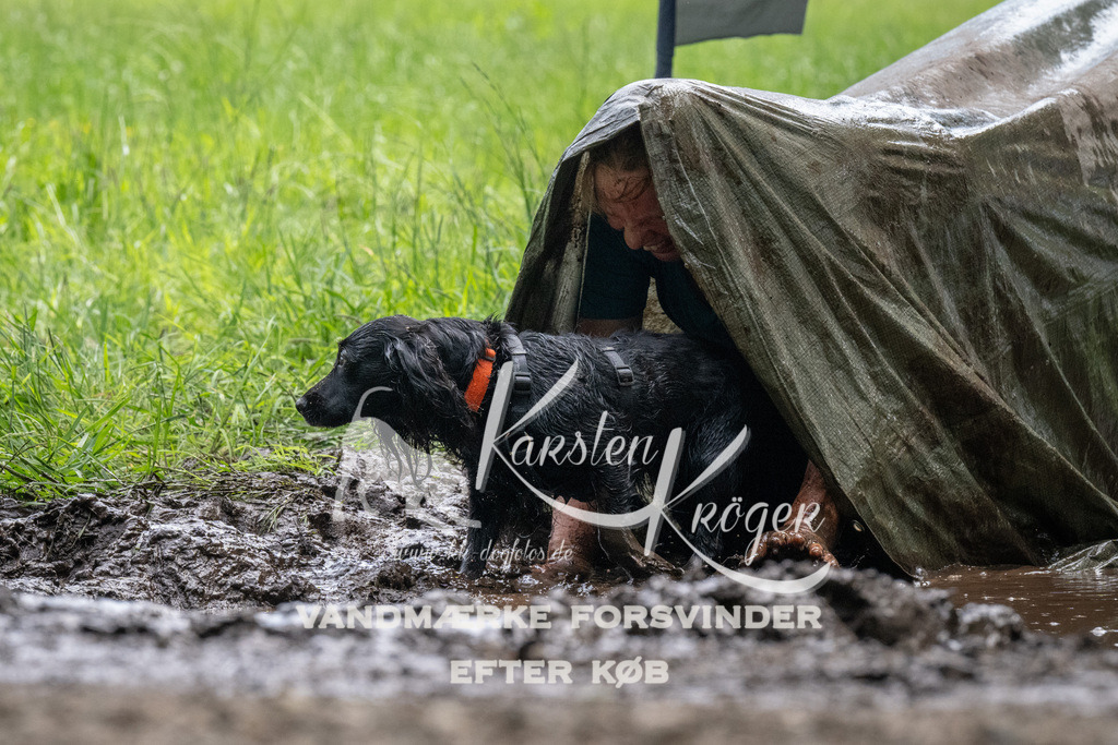 1125_ZZ92811 | kk-dogfotos
