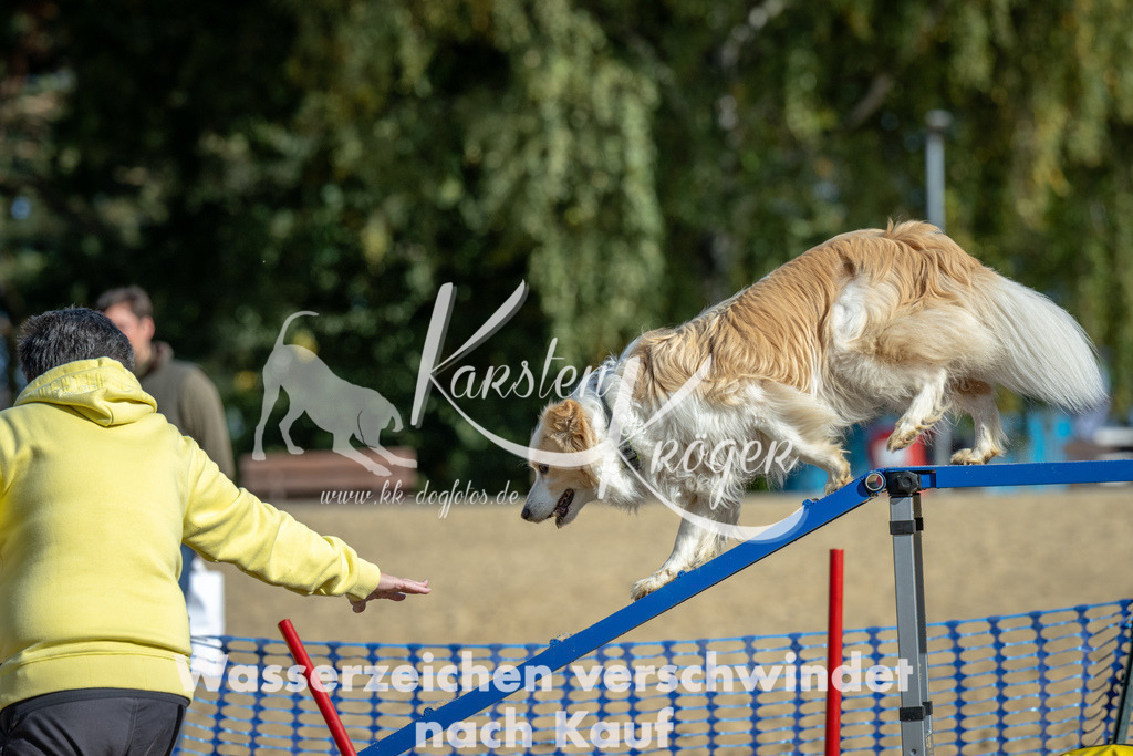 1138_ZZ91658 | kk-dogfotos