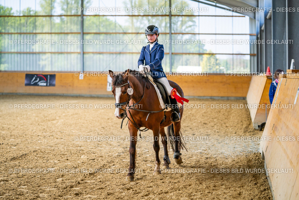 DSC02791 | Pferdegrafie