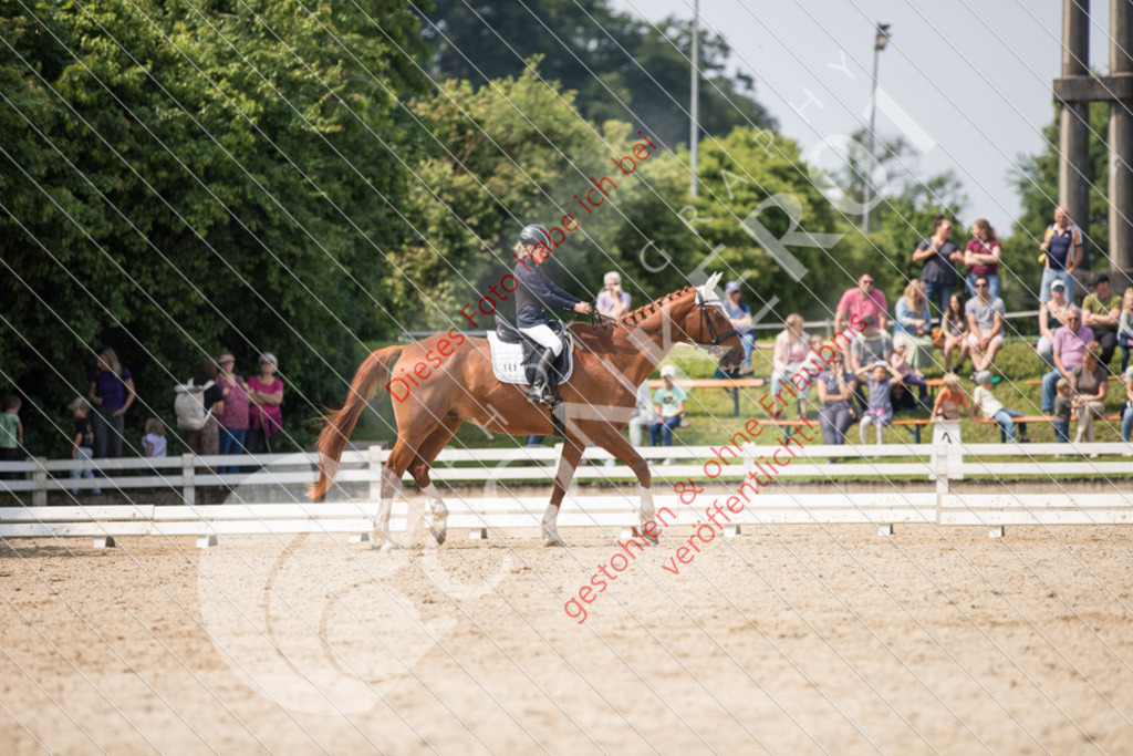 IMG_3385 | Sport-, Event- und Tierfotos in Profiqualität. Einfach auswählen, bestellen und herunterladen. Dein Moment – perfekt festgehalten.